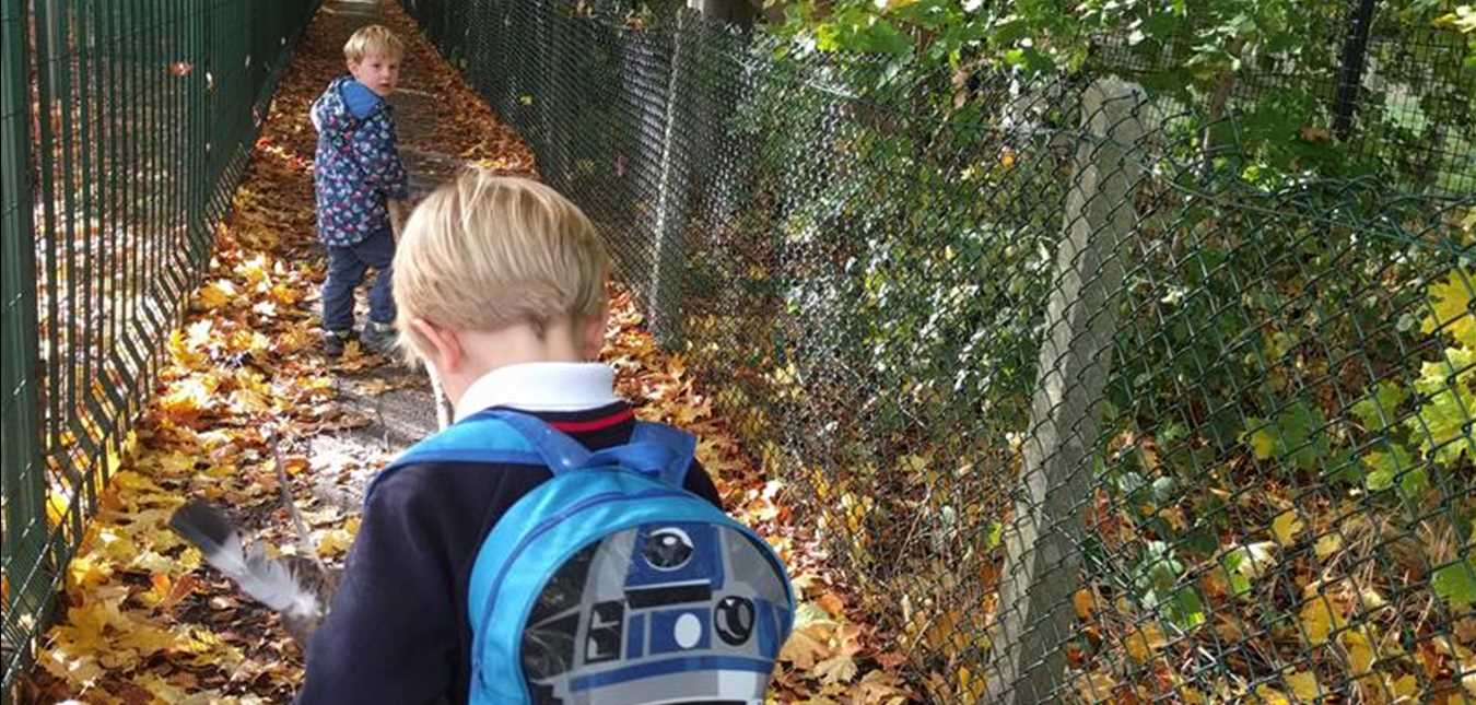 Why Children Should Walk To School During Autumn