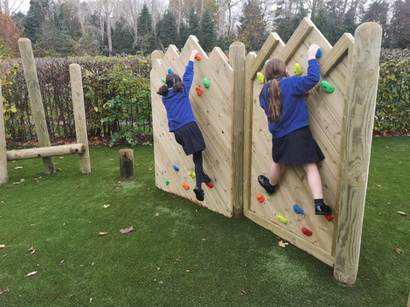 Forest Climbing Wall Traverse - Low Level