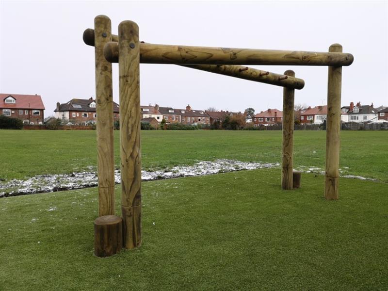 Crisscross Forest Monkey Bars with Step up Logs