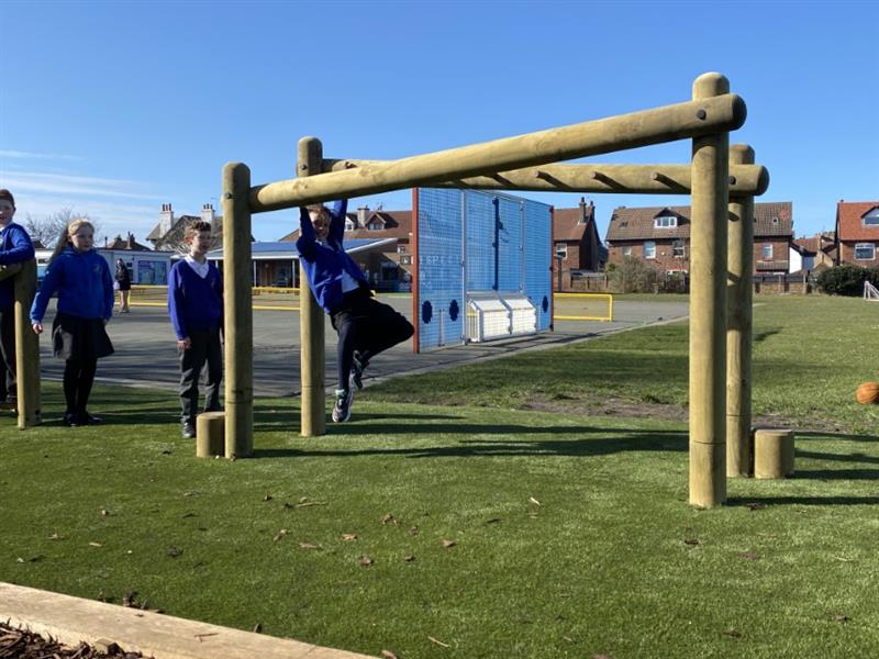 Crisscross Forest Monkey Bars with Step up Logs