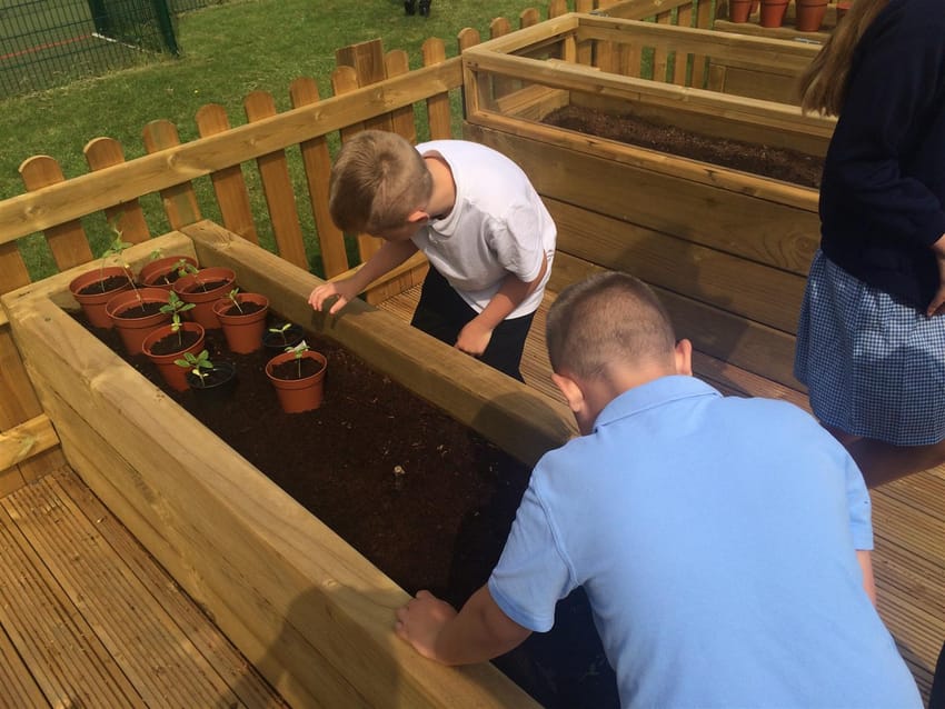 Peel Hall School's Outdoor Science Experiment | Pentagon Play
