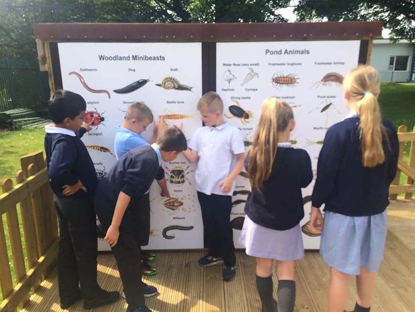 Peel Hall School's Outdoor Science Experiment | Pentagon Play