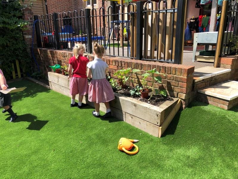 two little girls in school dresses stand on the side of the timber planter and look into the soil