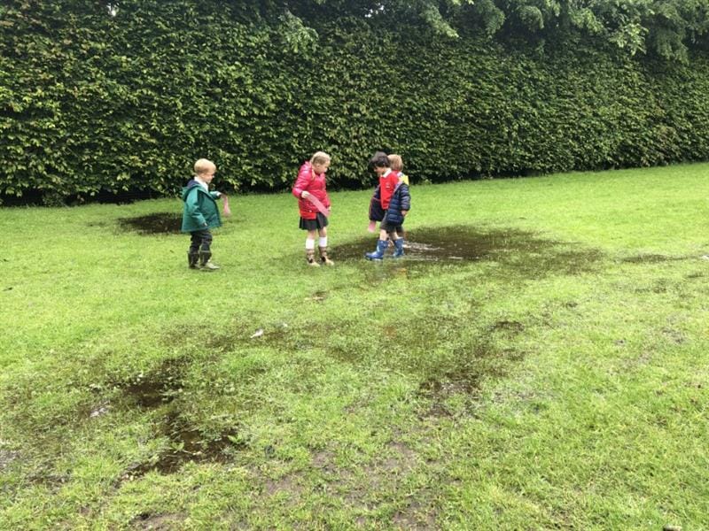 Pentagon Become Teaching Assistants