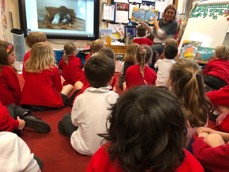 Pentagon Play Become Teaching Assistants