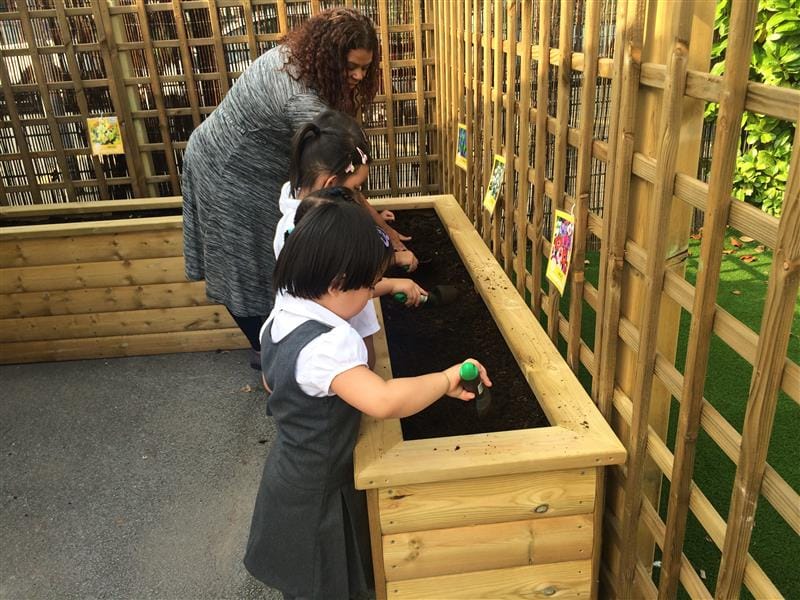 planters for schools