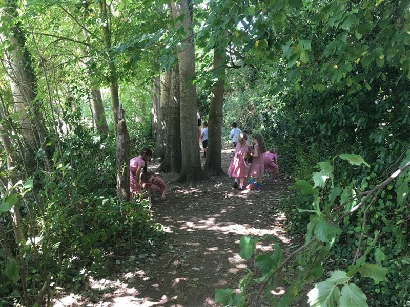 children take a walk through the woodlands
