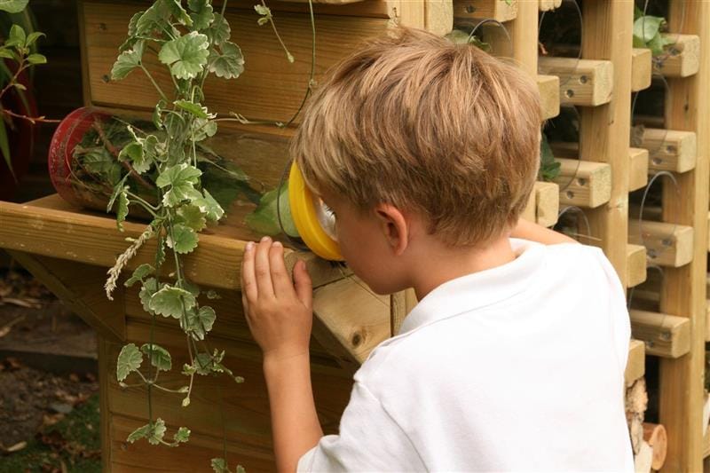 a child sits in front of a bug hotel and peers in with a yellow magnifying glass