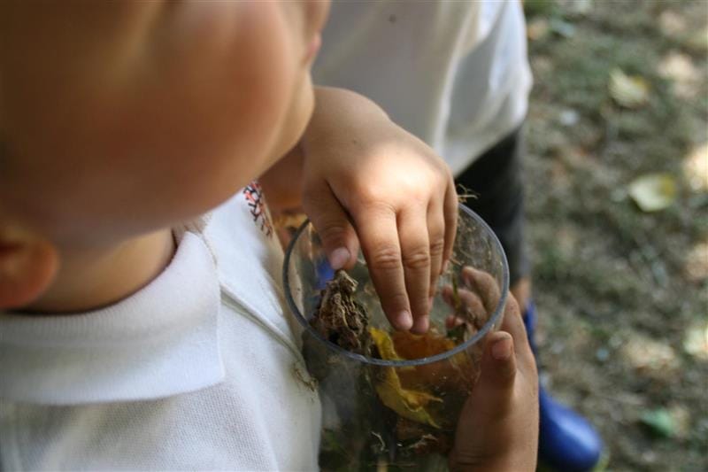 a little boy sits with an insect pod and learns about nature