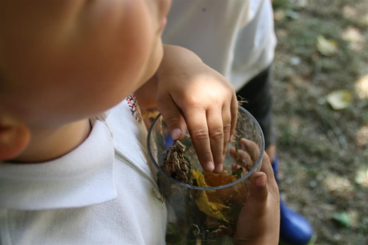 A little boy has his hand in a plastic jar that is filled with sticks and leaves.