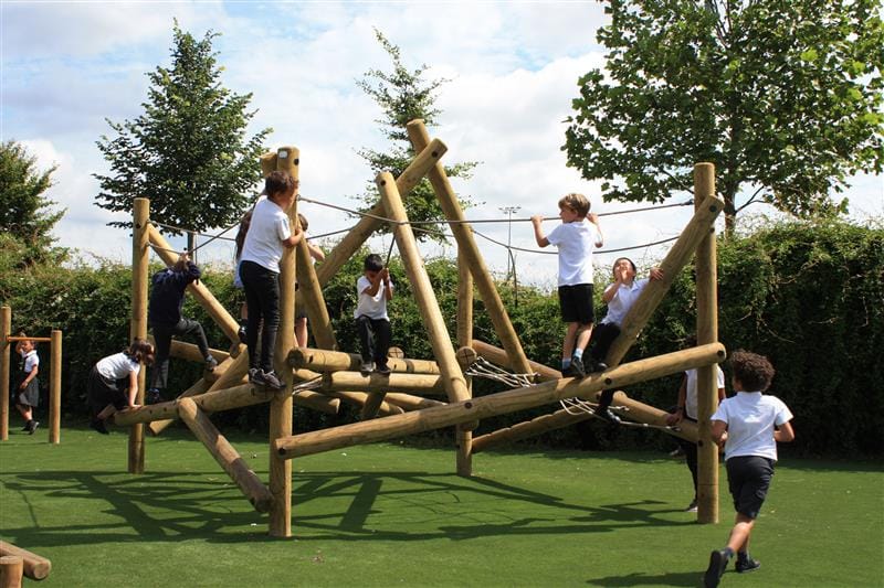 children can climb on the timber climbing frame 