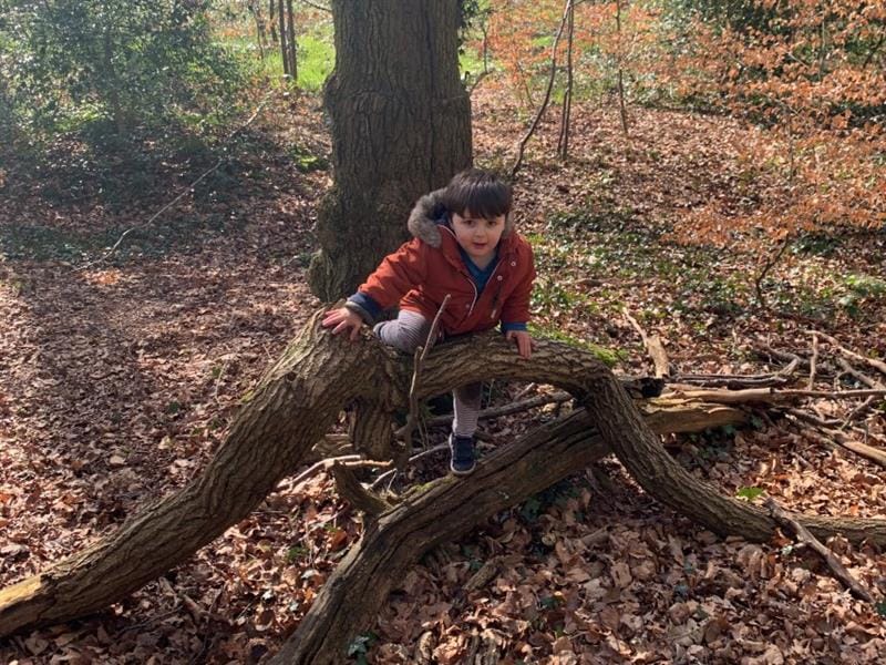 outdoor learning with children