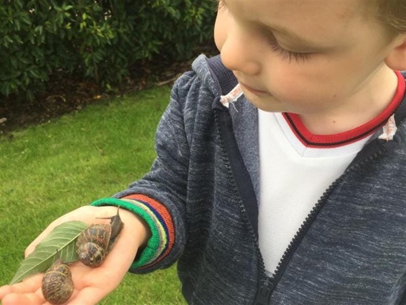 a child holds rocks and sticks in his hand that he found on a walk