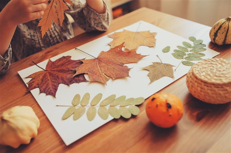 Leaves on a white piece of paper.