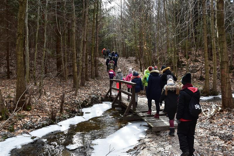 children walk through an icy and snowy forest