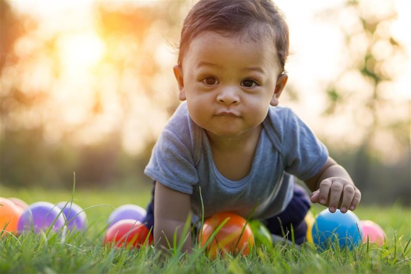 a child crawls through the grass and there are colourful balls on the grass for him to play with