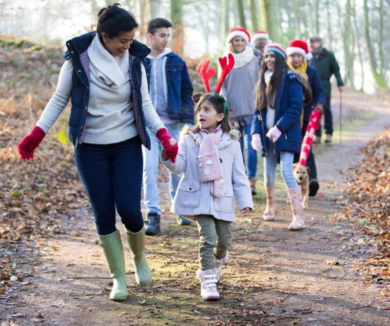 children go for a winter walk through the forest
