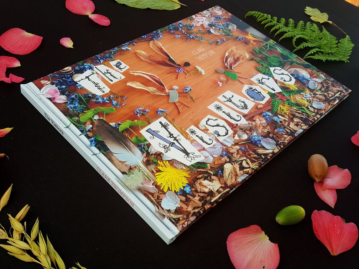A picture of the book "the visitors", written by Sarah Thompson