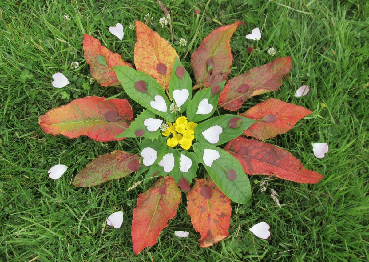 A flower that has been created from leaves and petals, creating a piece of transient art.