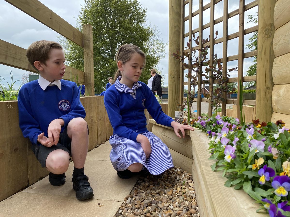 Two children are crouched and looking at a variety of colourful flowers.