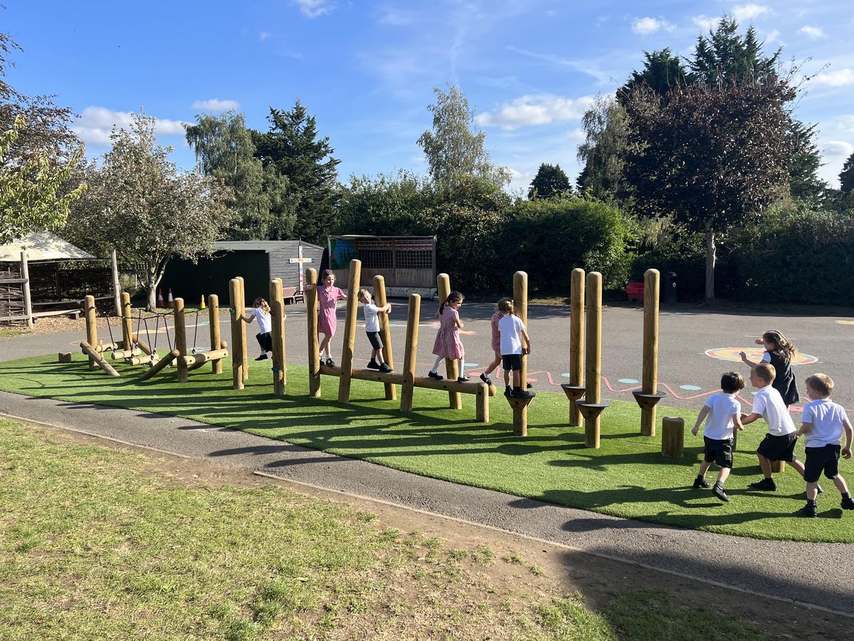 A trim trail that has a large group of children navigating their way across it.