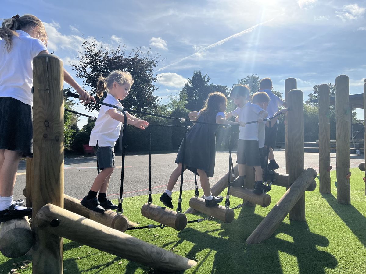 A line of children are crossing a rope bridge with log steps, as they traverse a trim trail. One child is going the opposite way.