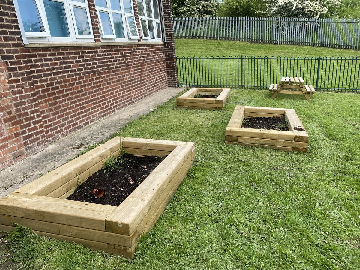Three in-ground planters have been spread out across a natural grass area. Each planter is full of mud and a few plants starting to grow.