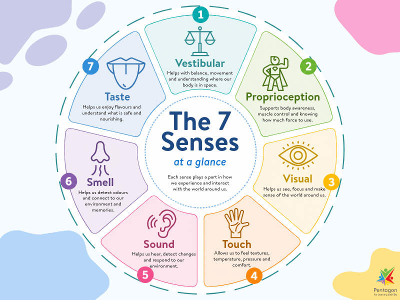 An infographic showcasing the 7 senses, and explaining what each sense does.