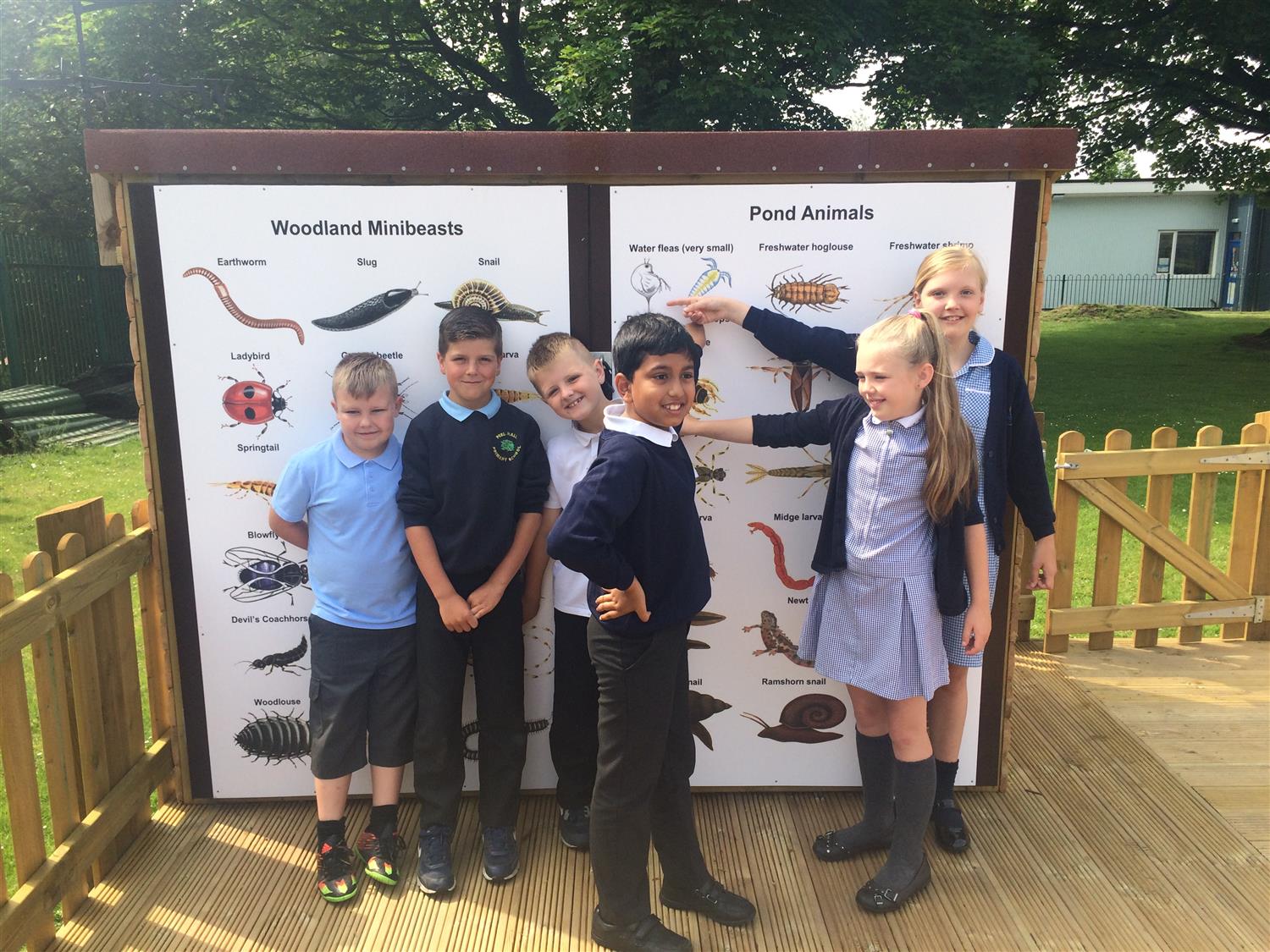 Peel Hall School's Outdoor Science Experiment | Pentagon Play