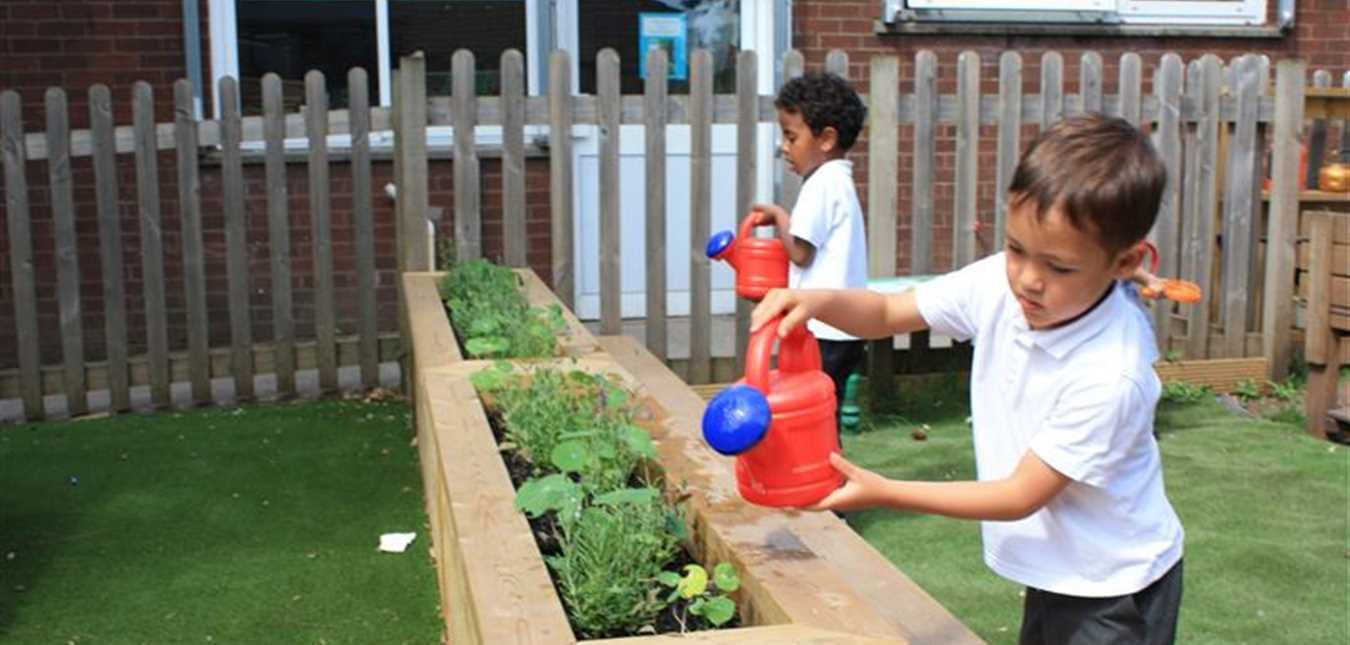 3 Resources to Create a Nature Rich Playground