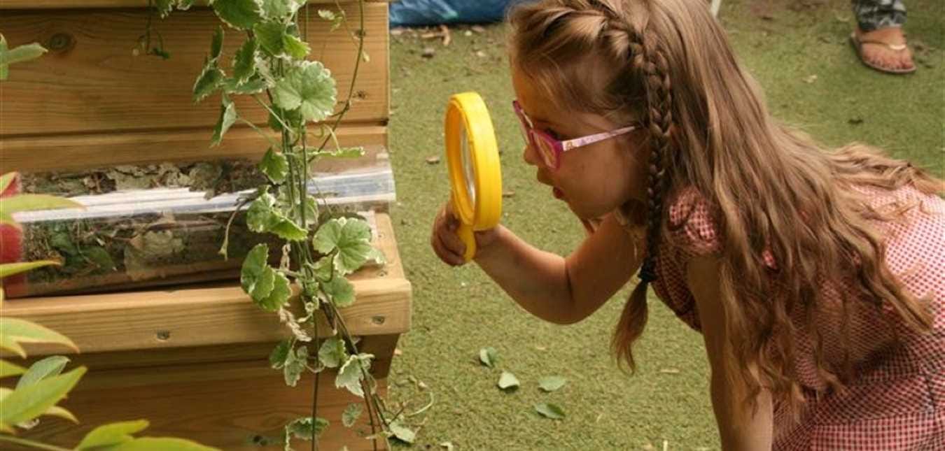 Immerse yourself in nature this summer!