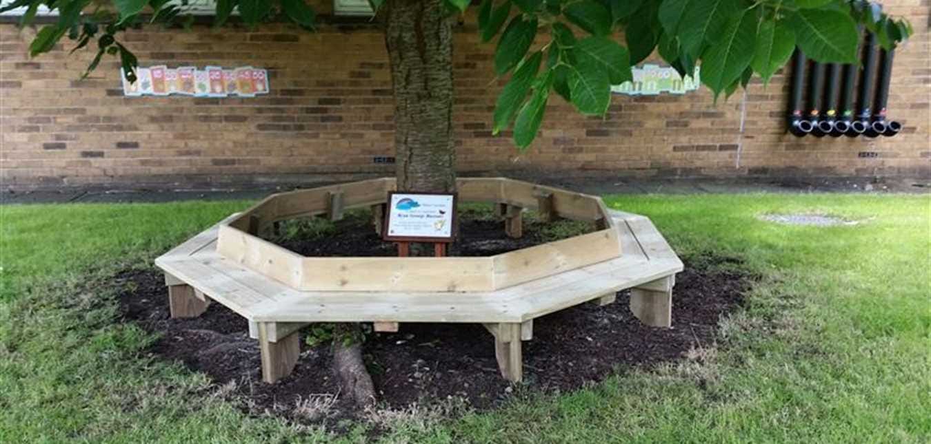 A Tree Seat in Loving Memory of Ryan George