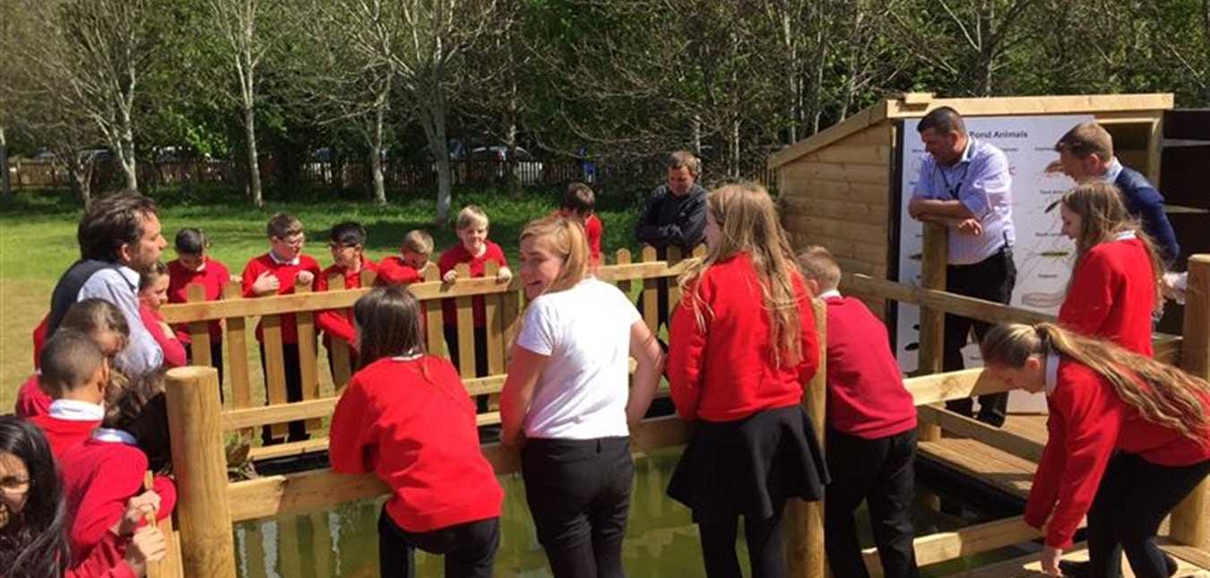 Make Your School Playground Pollinator Friendly