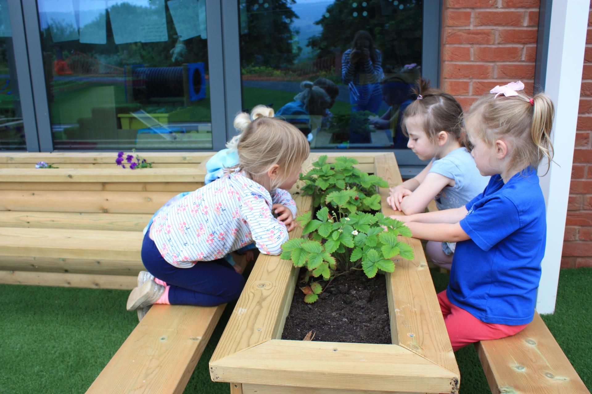 A group of children sat together planting flowers