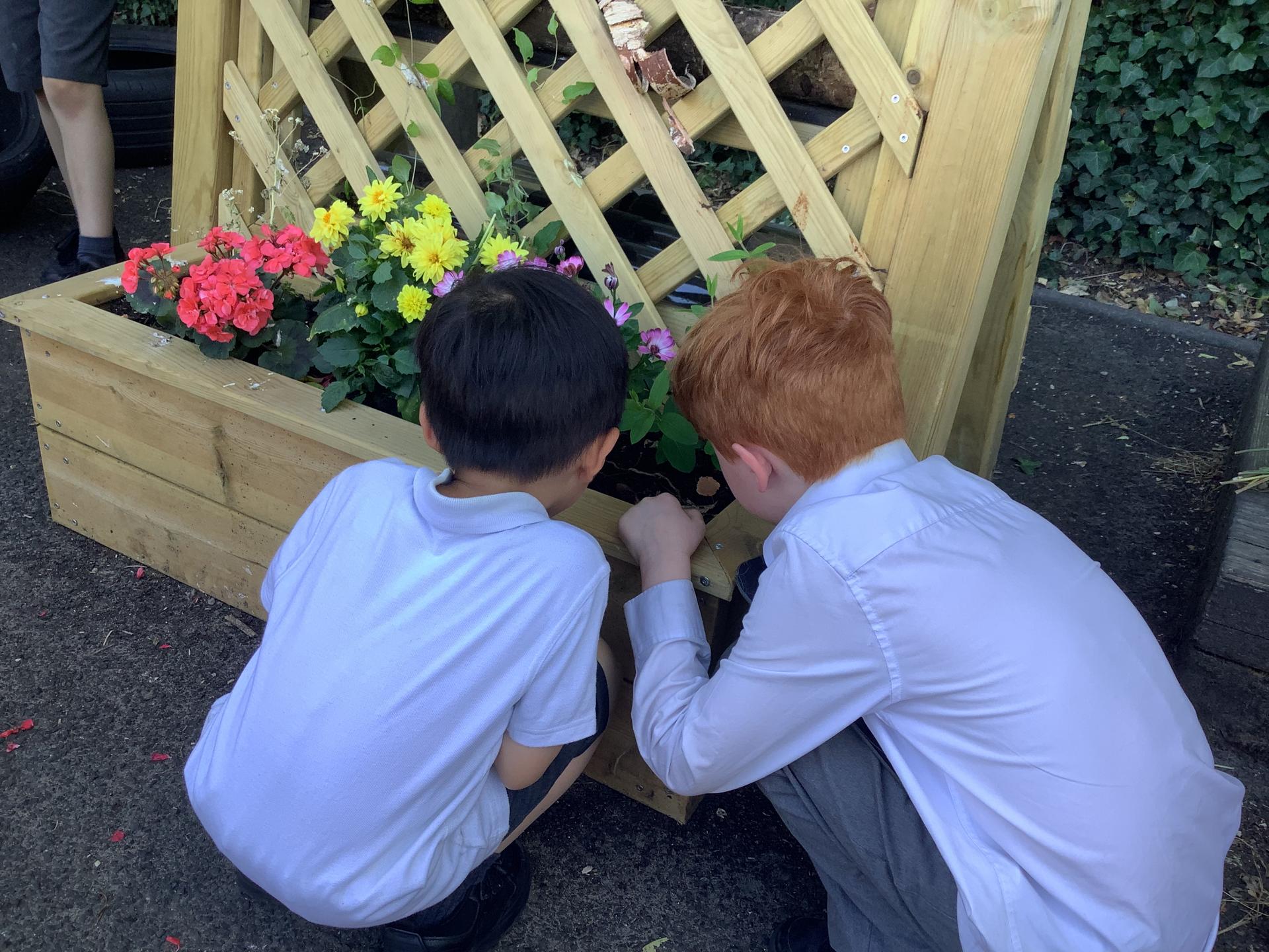 Bug Habitat - Children Planting