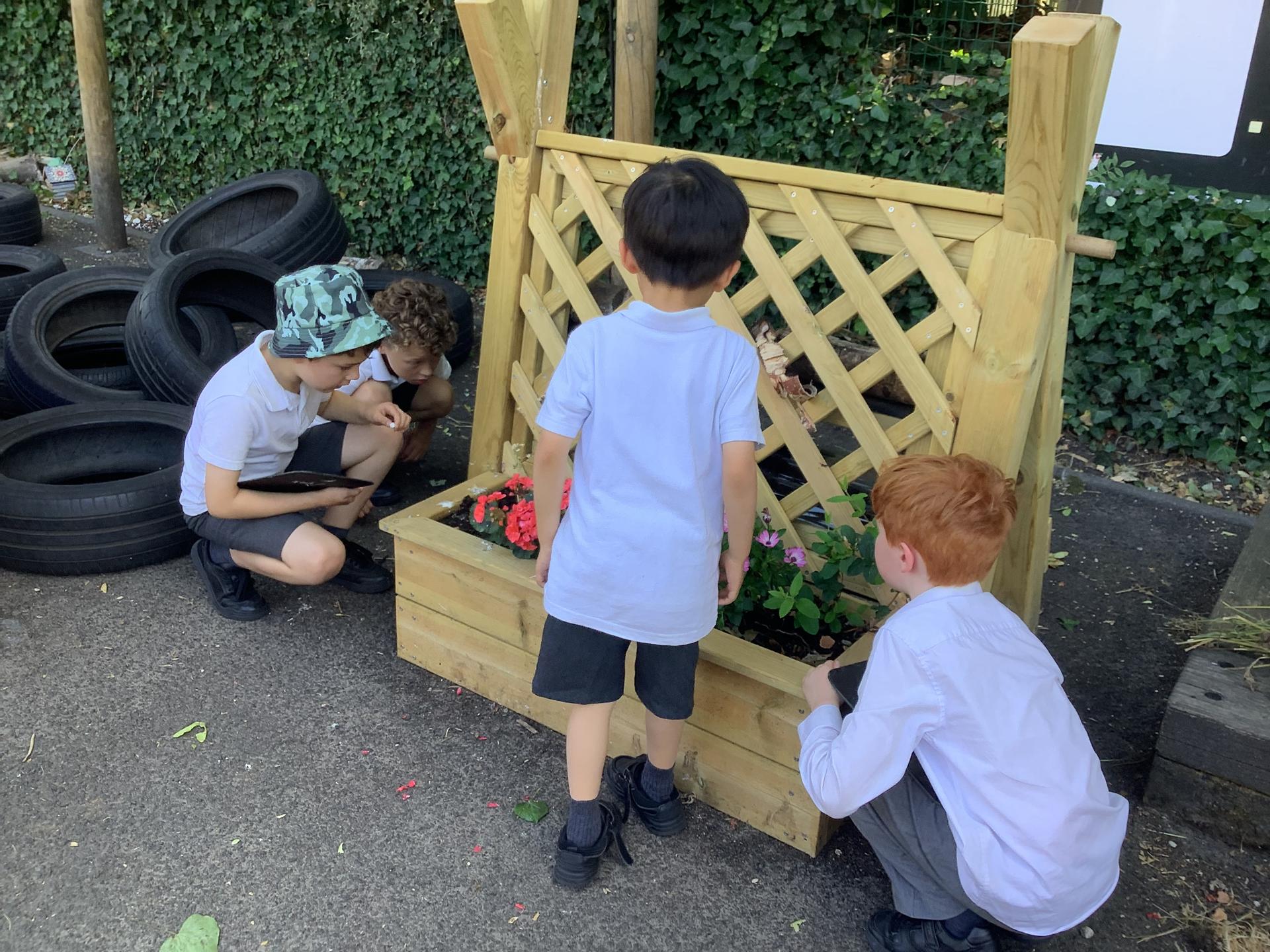 Children using Bug Habitat