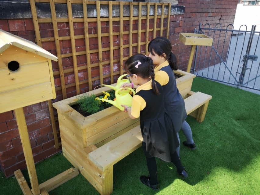 Planters for Schools