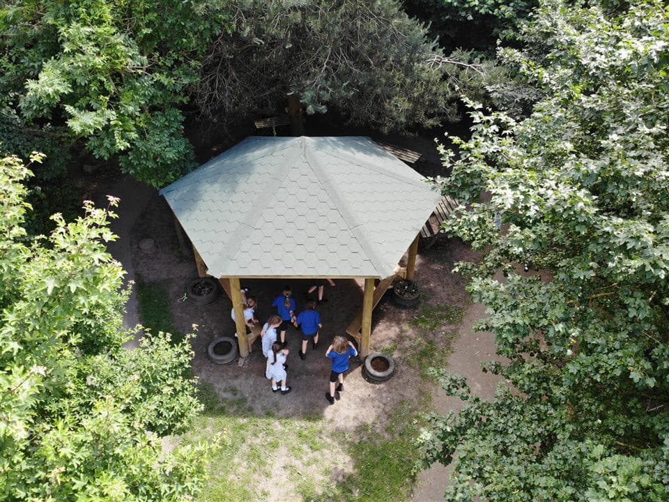 a birds eye view of our canopy 