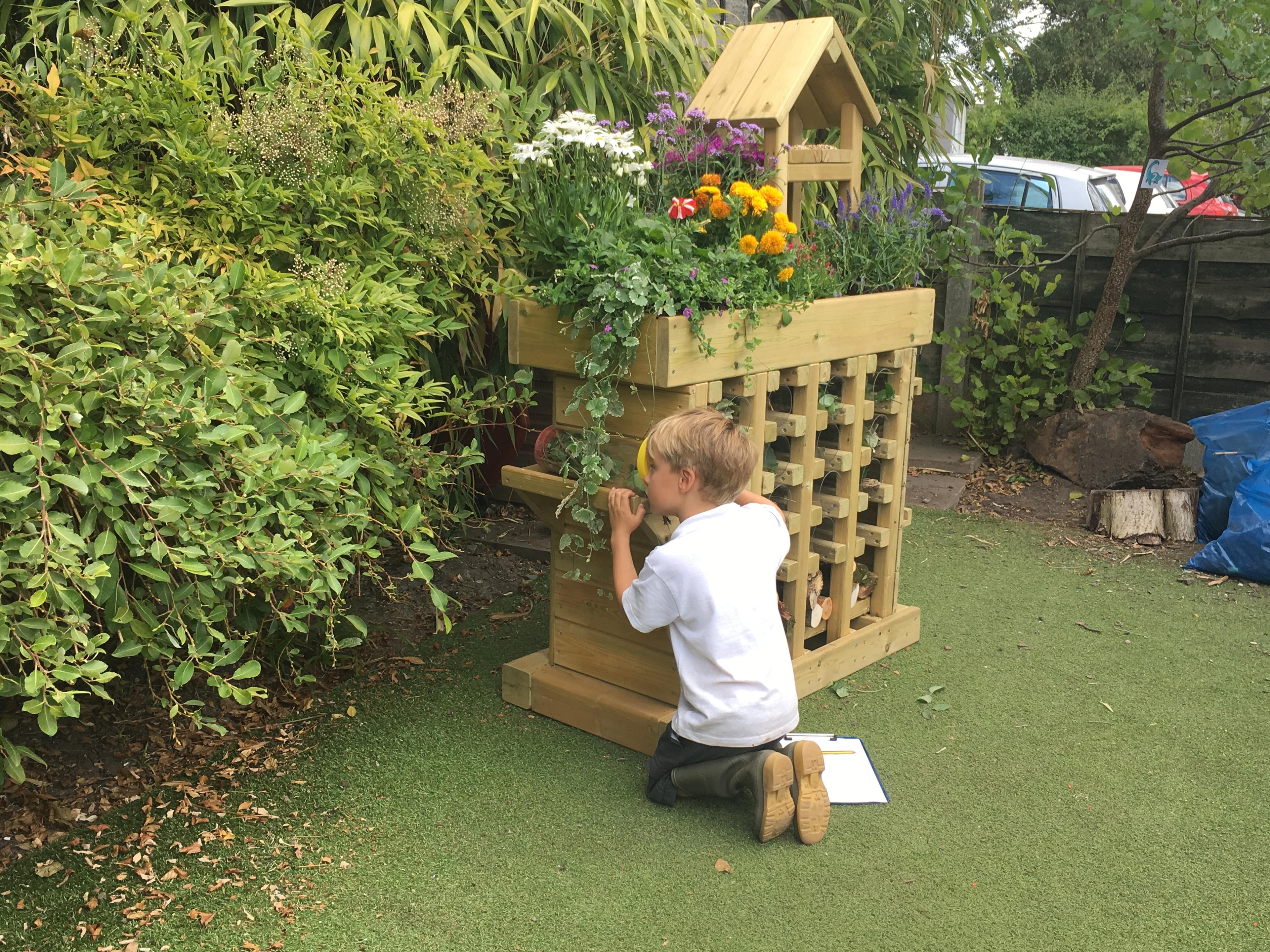 ks1 science
