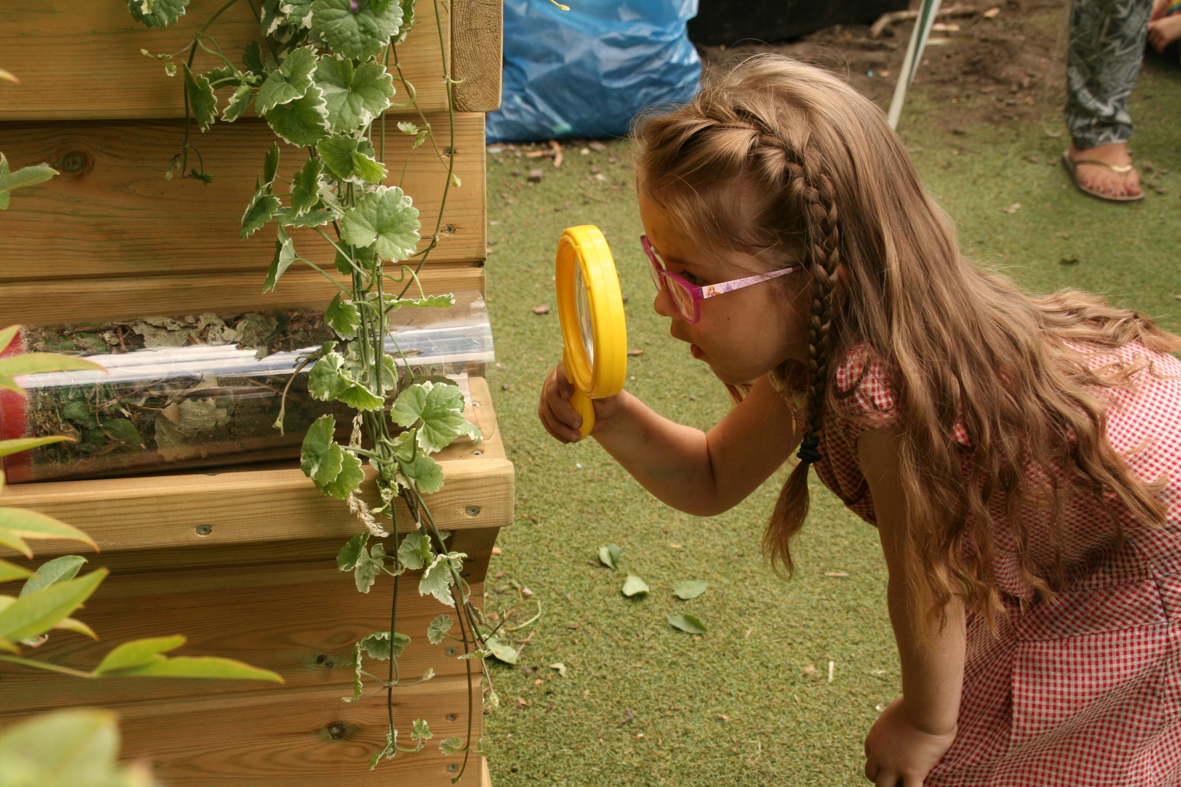 eyfs insect and science lessons