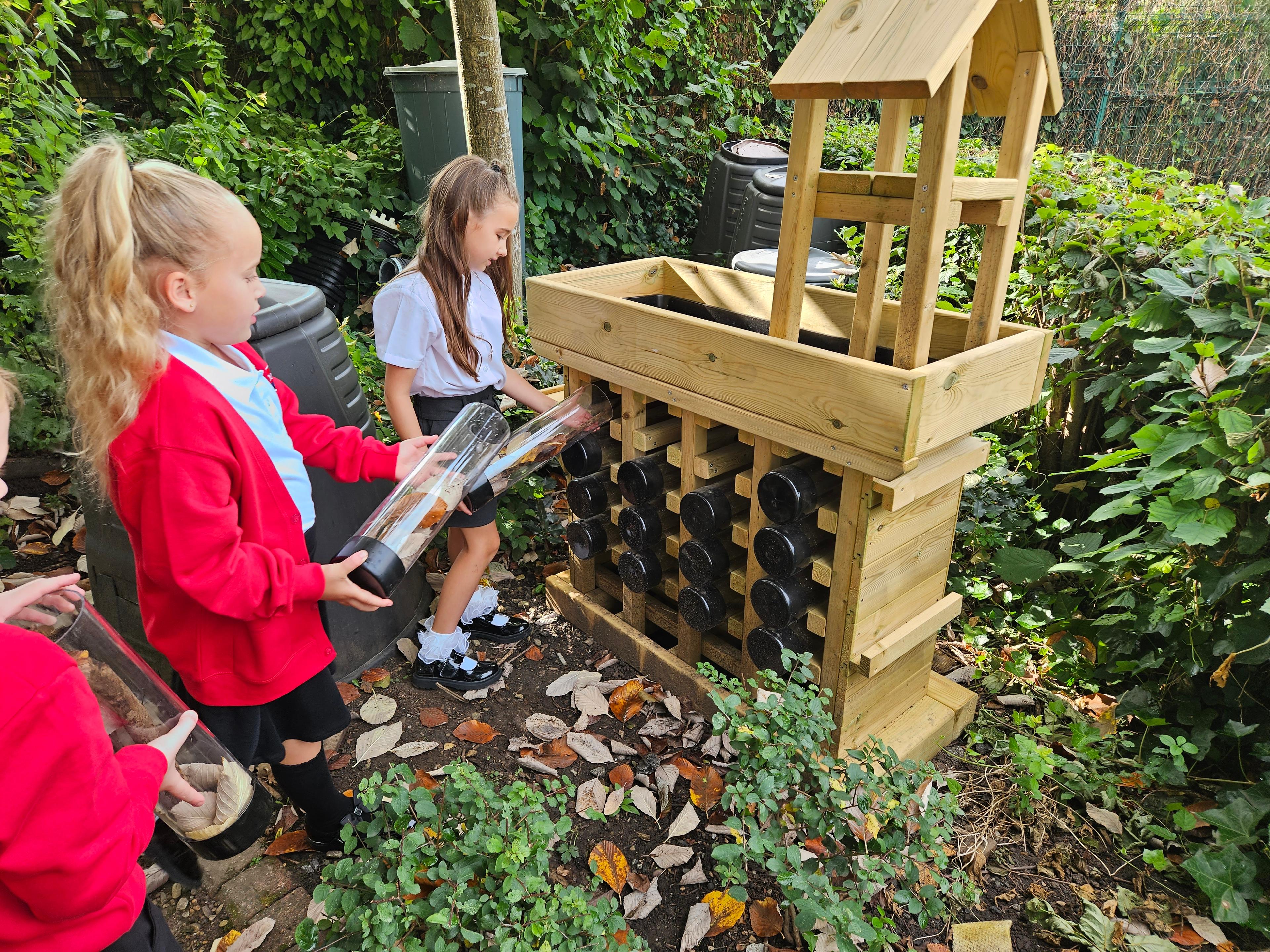bug hotel for school gardens