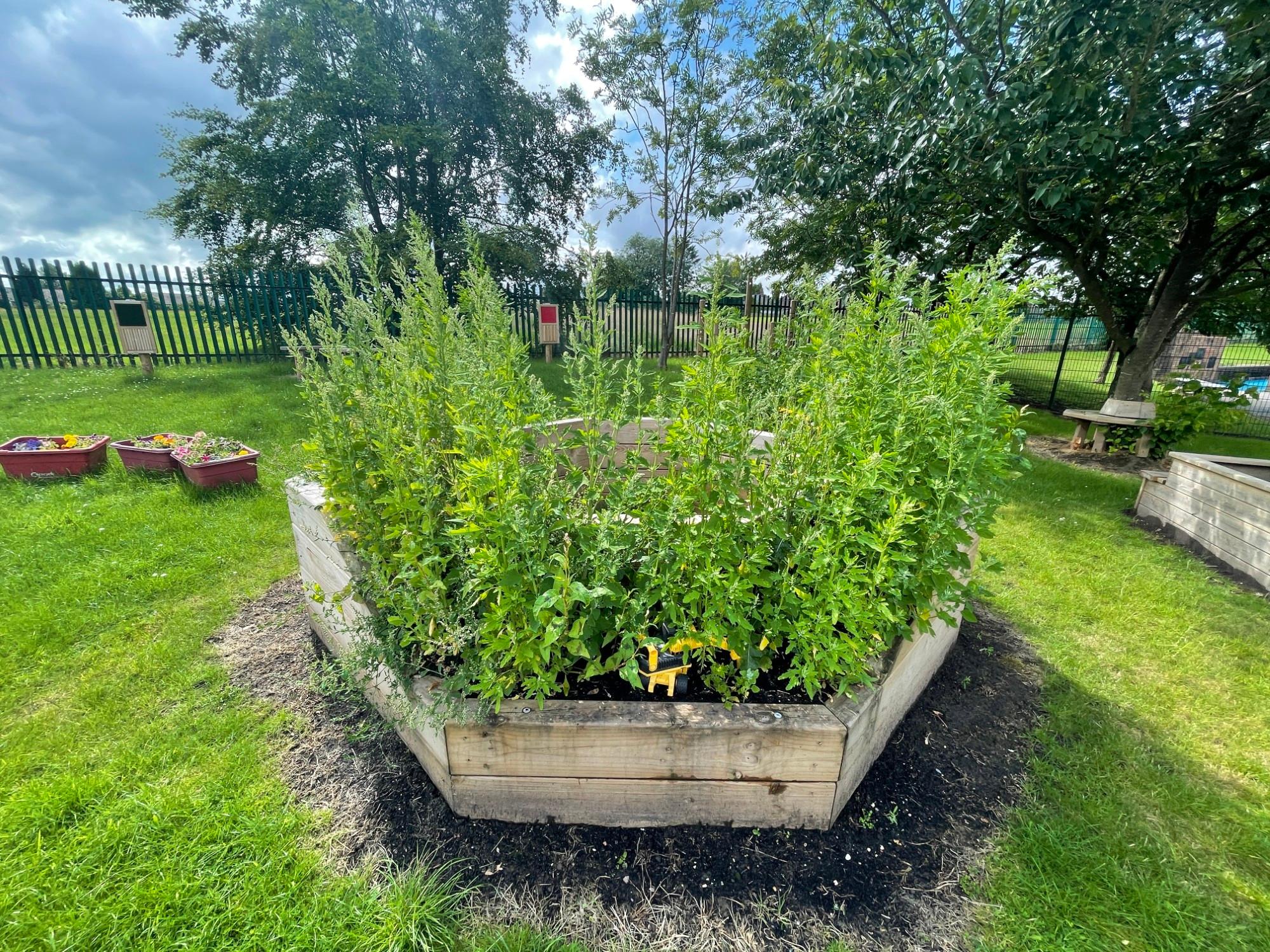 playground planters