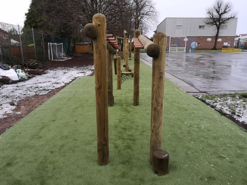 Crisscross Monkey Bars Forest Trim Trail