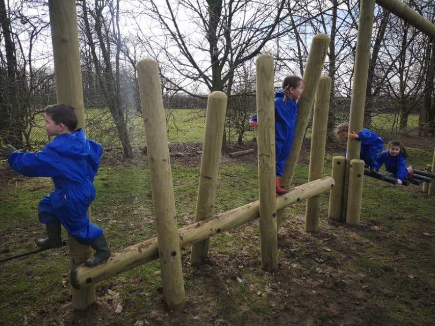 forest trim trail