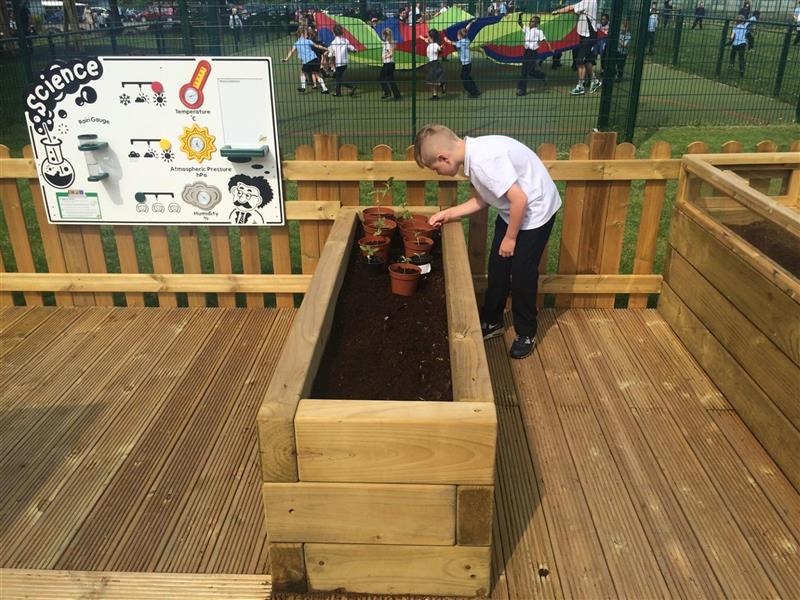 natural play equipment