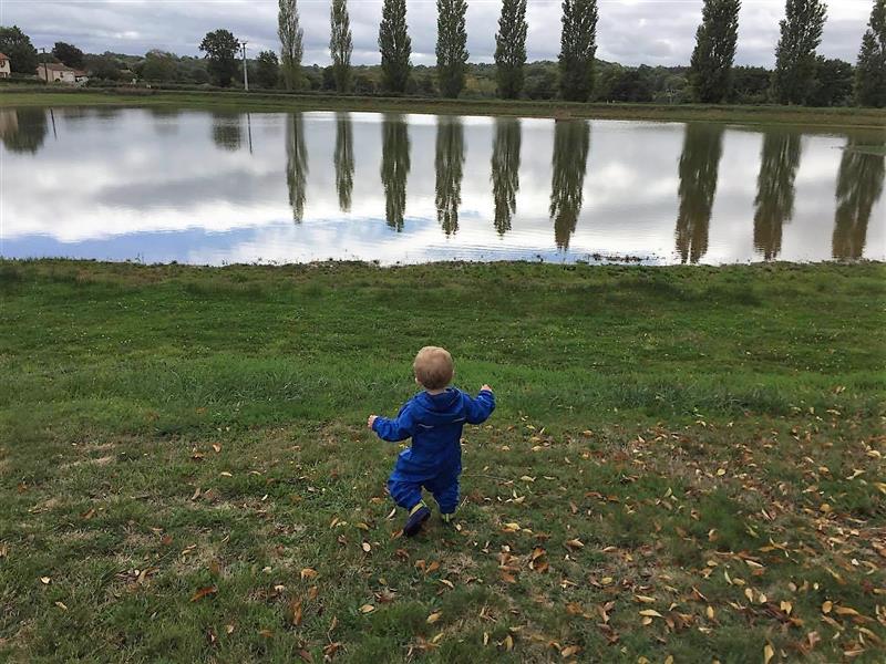 babies learning to walk