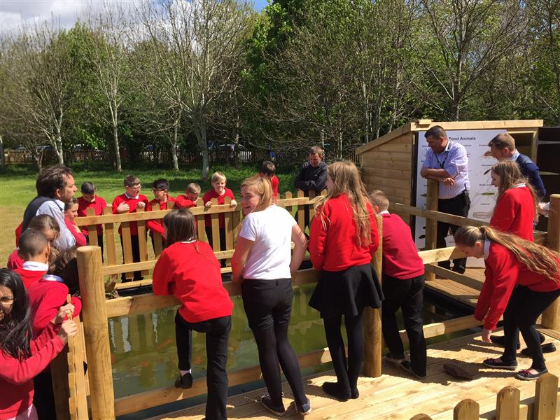 Wildlife Area for West Town Lane Academy's Playground