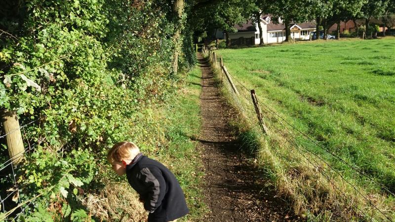 children exploring during an autumn walk