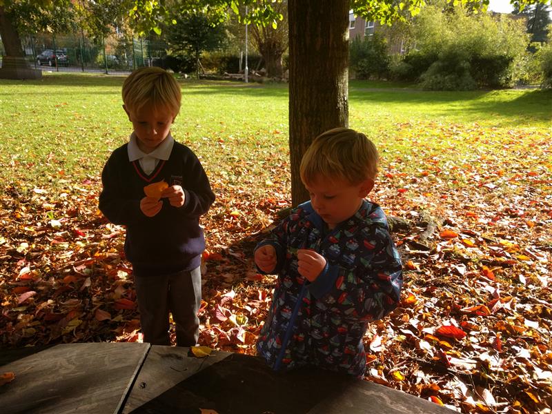 Walk to school during autumn