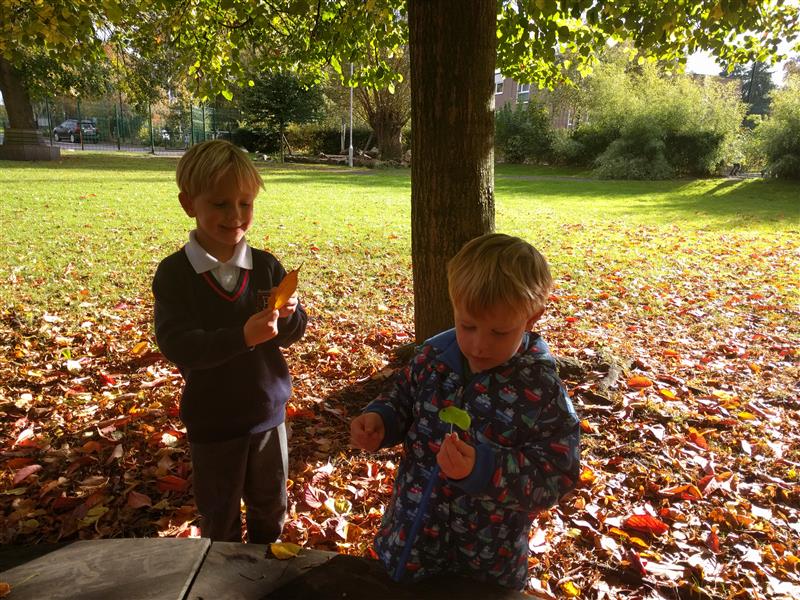 outdoor play during autumn